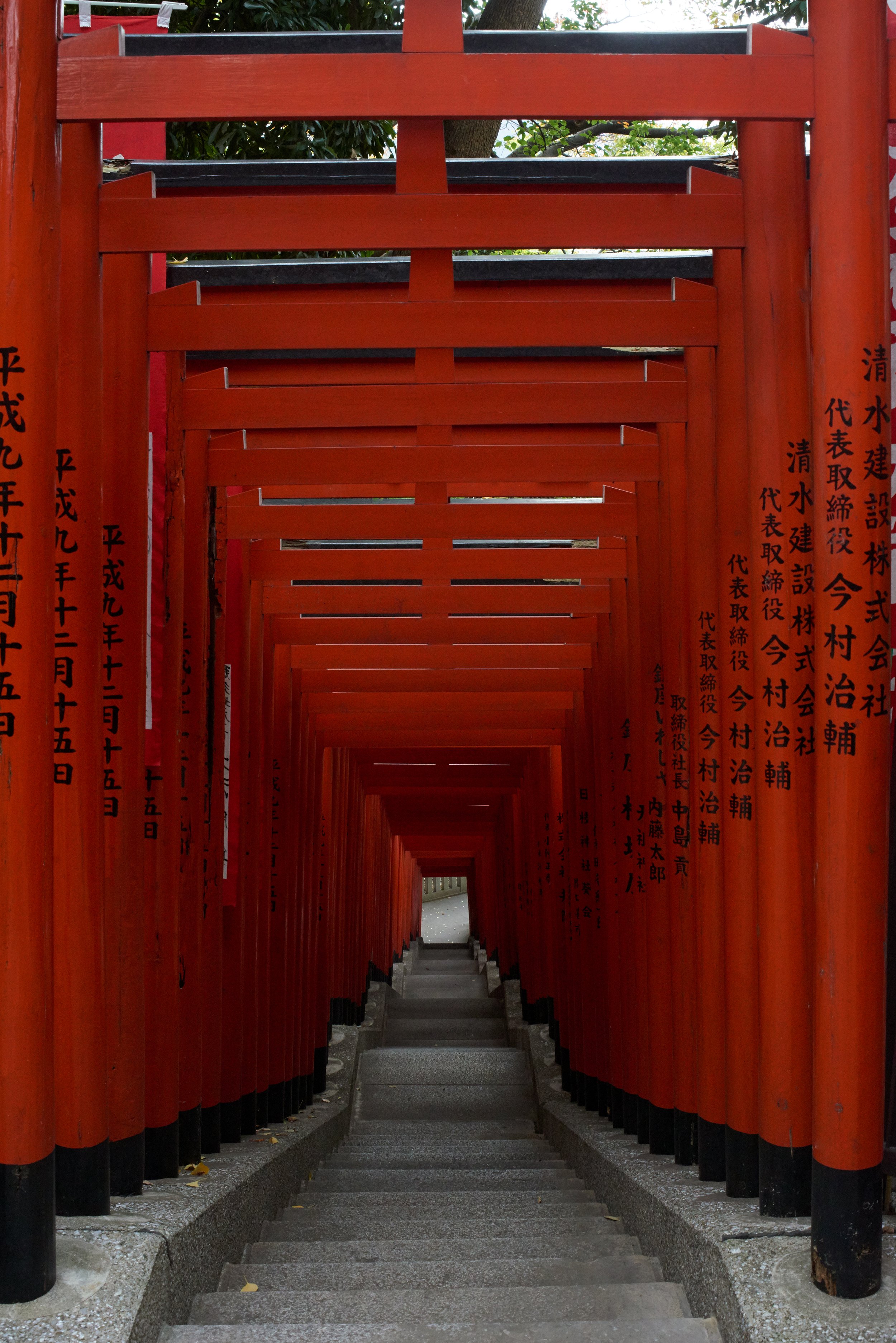 AMI_7426_01-30538.jpg