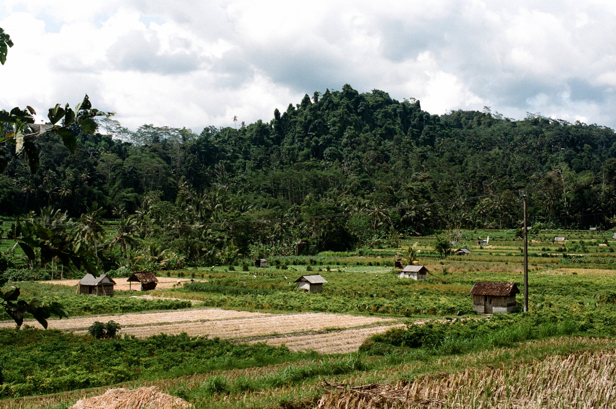 Ubud, Bali