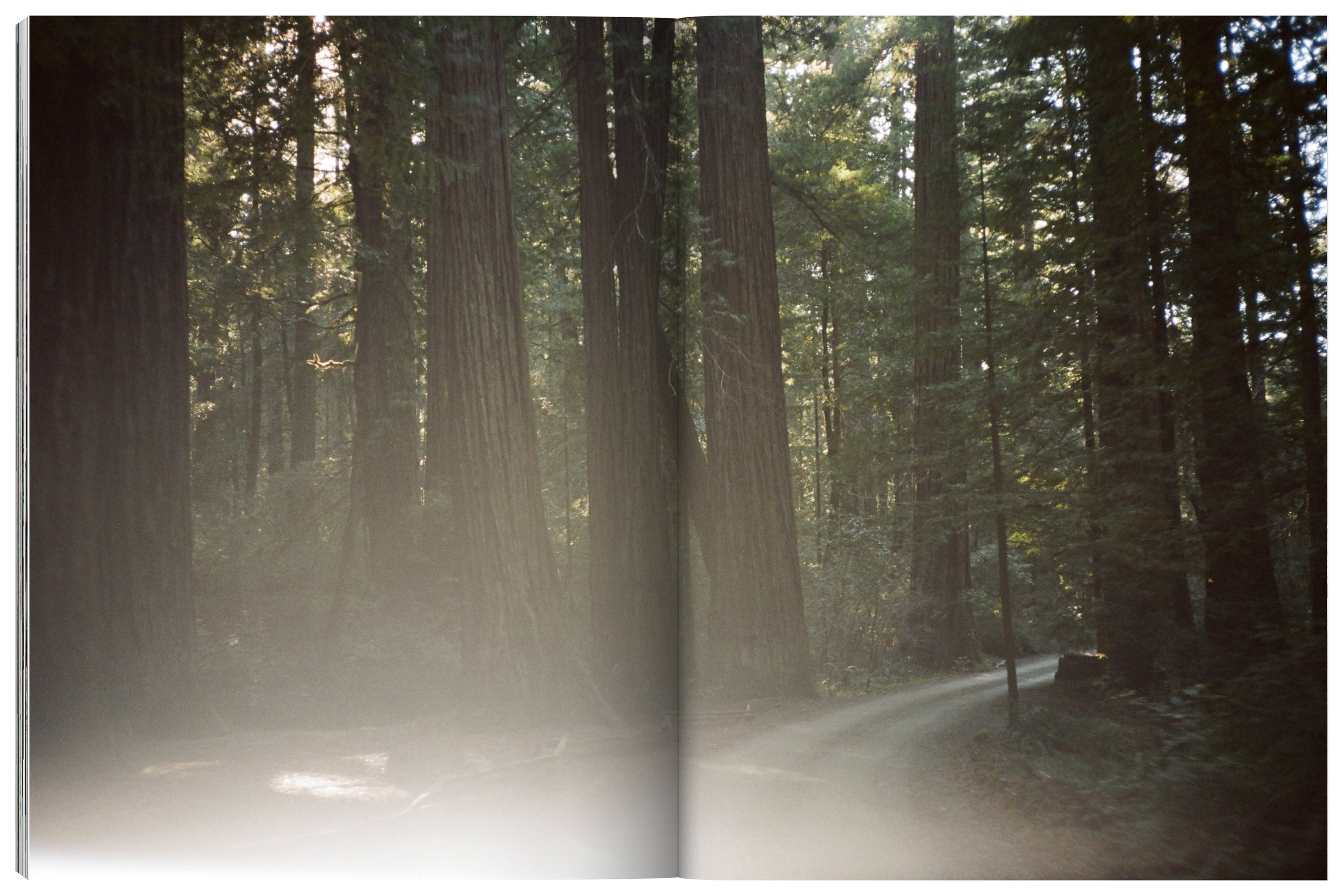LIVRE_FINAL_spread_123.jpg