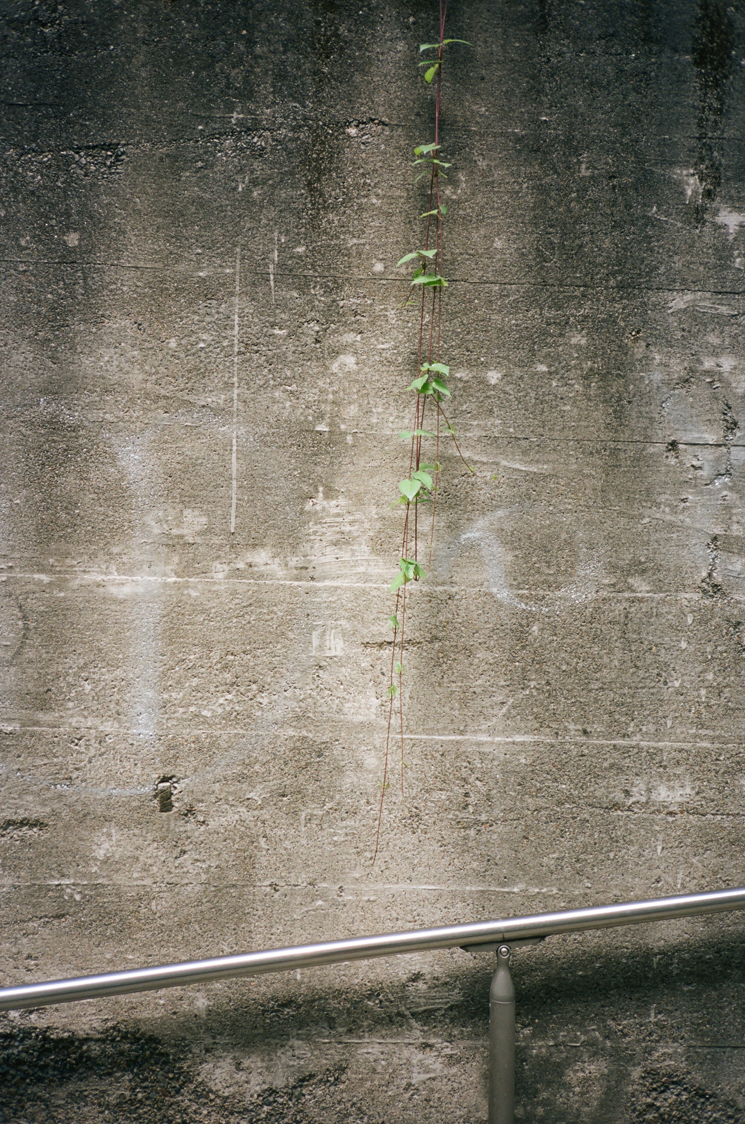 11020009.JPG