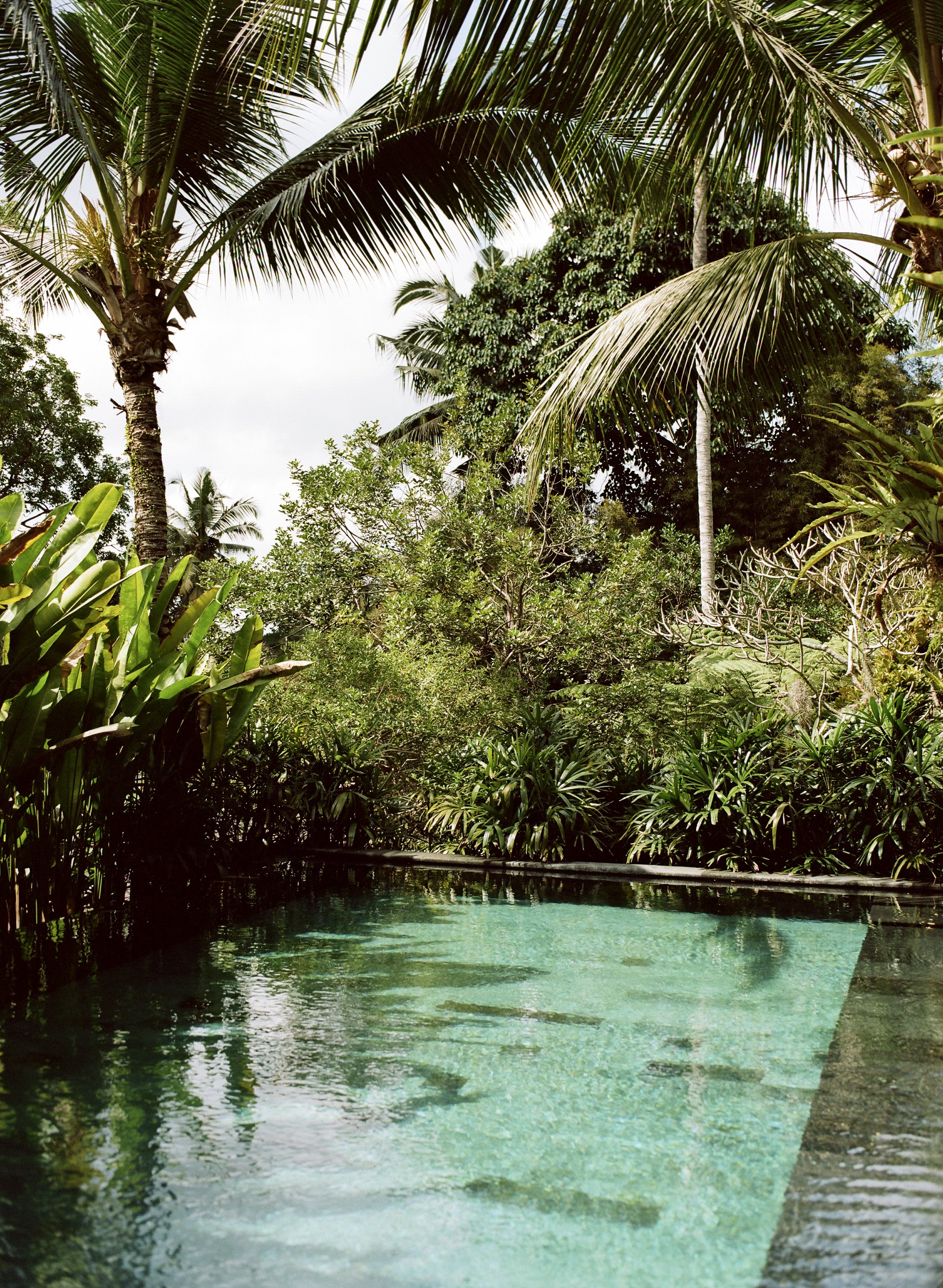 Rumah Hujan / Ubud, Bali