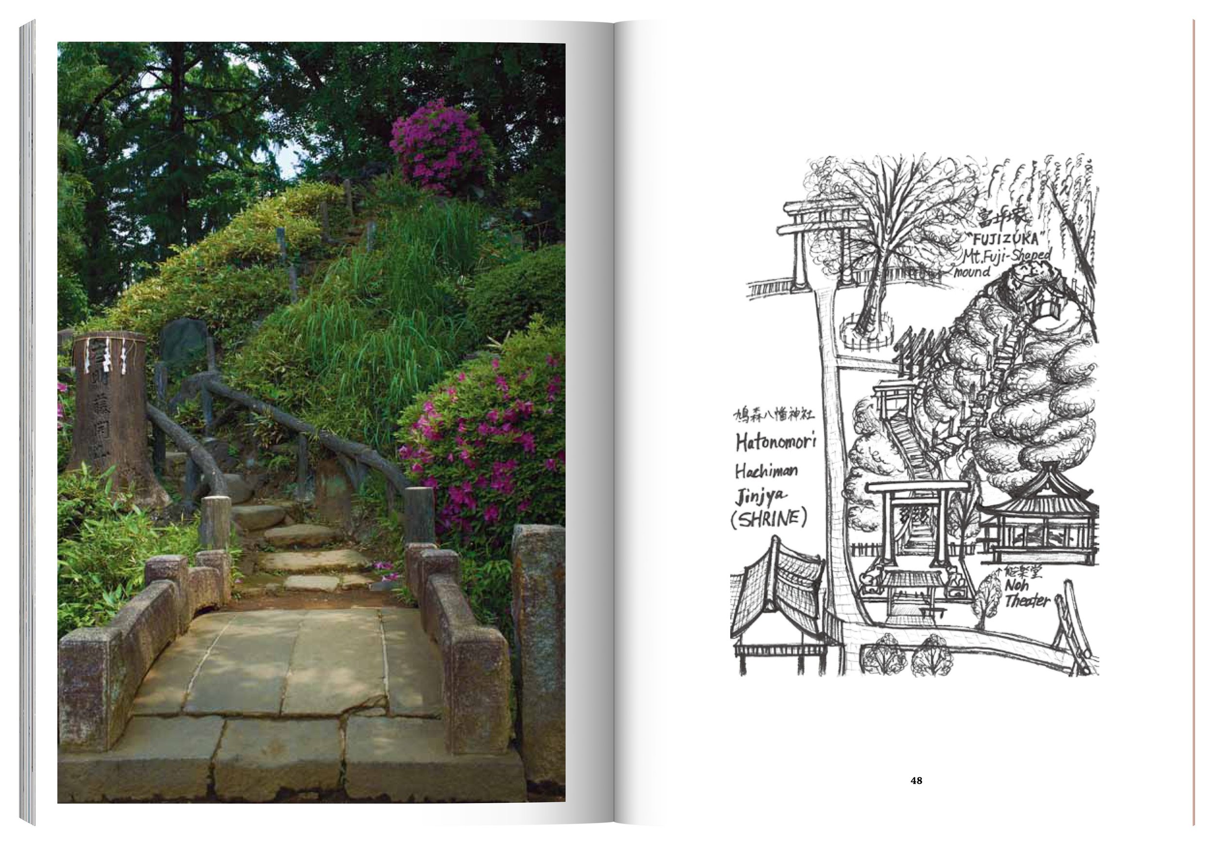 Ami_Final_single_pages_spread_62.jpg
