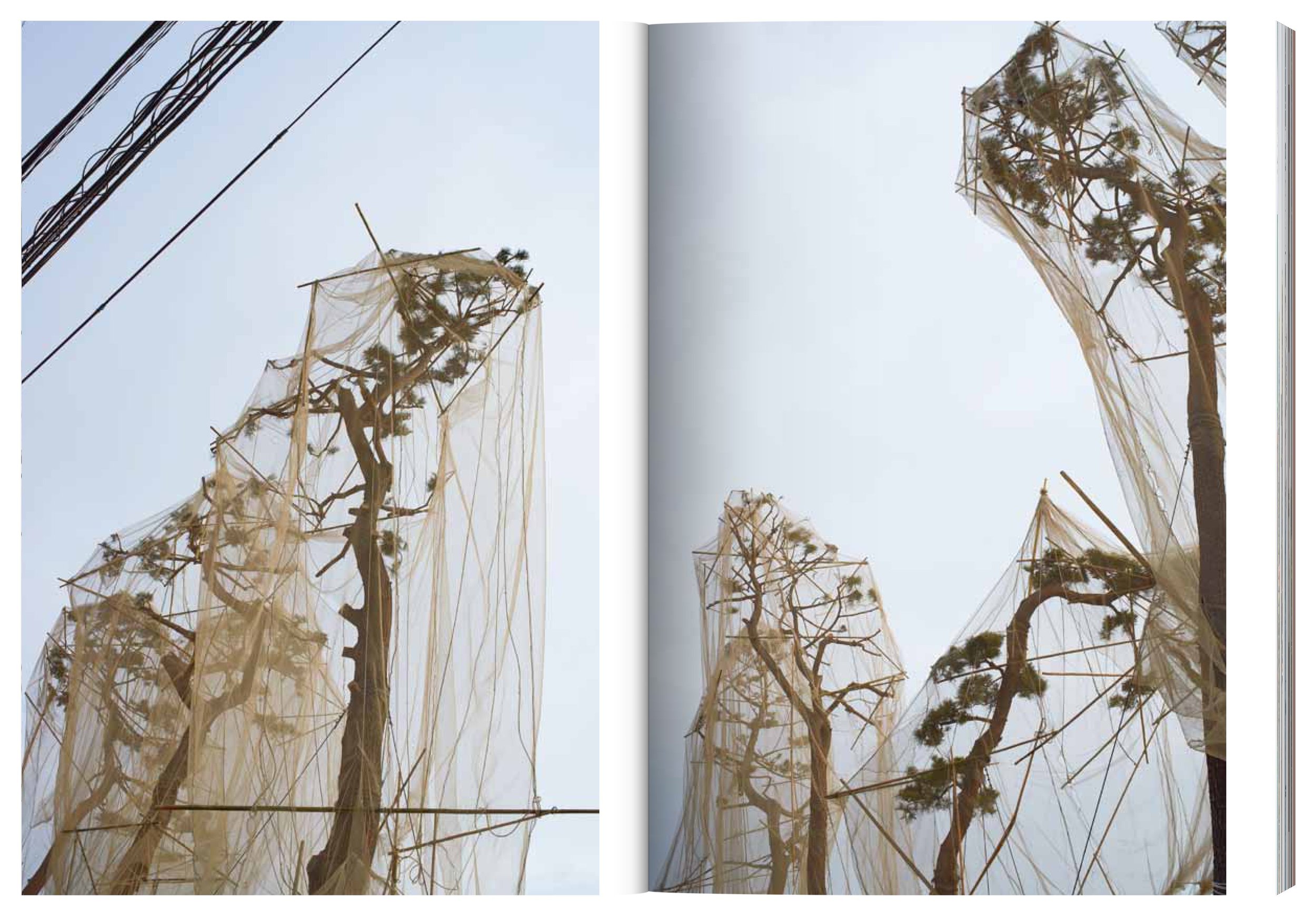 Ami_Final_single_pages_spread_5.jpg