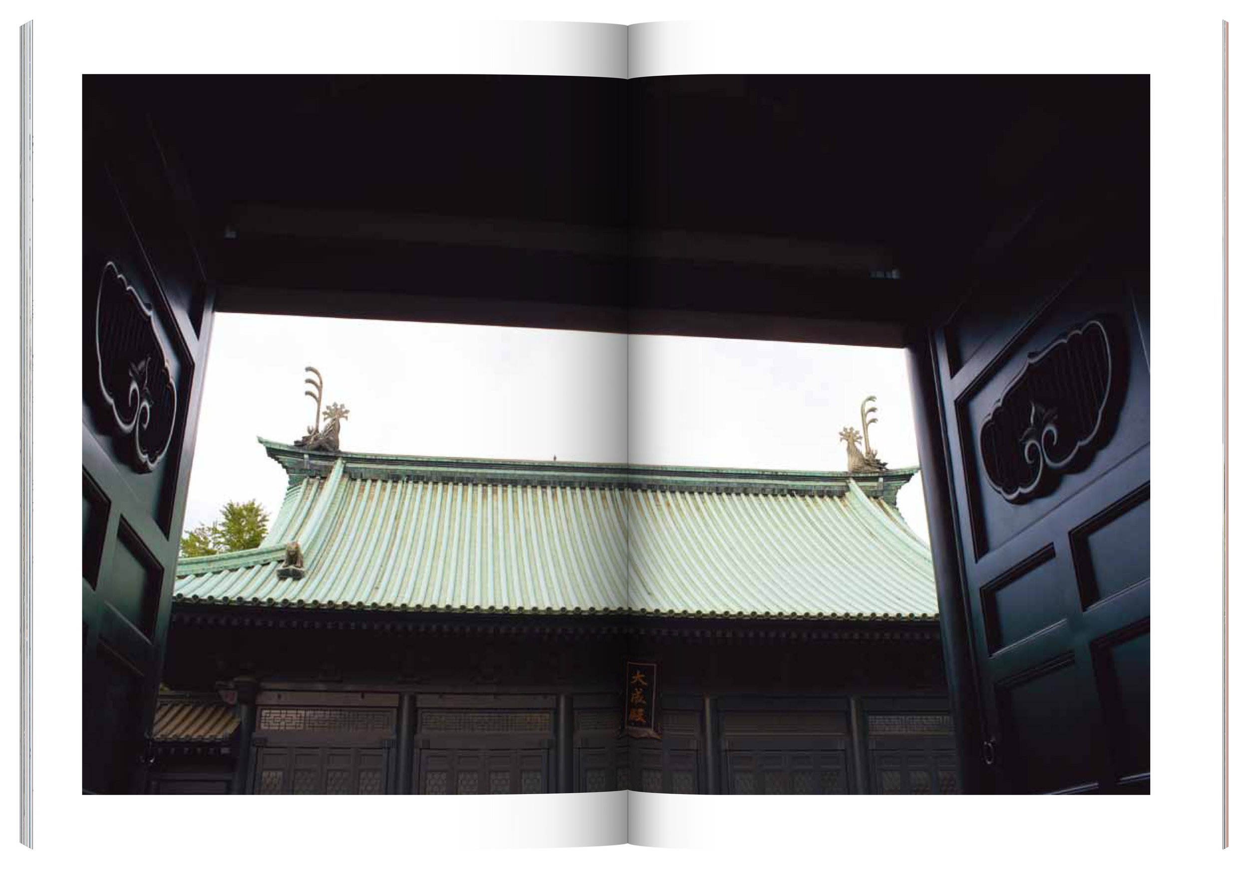 Ami_Final_single_pages_spread_51.jpg