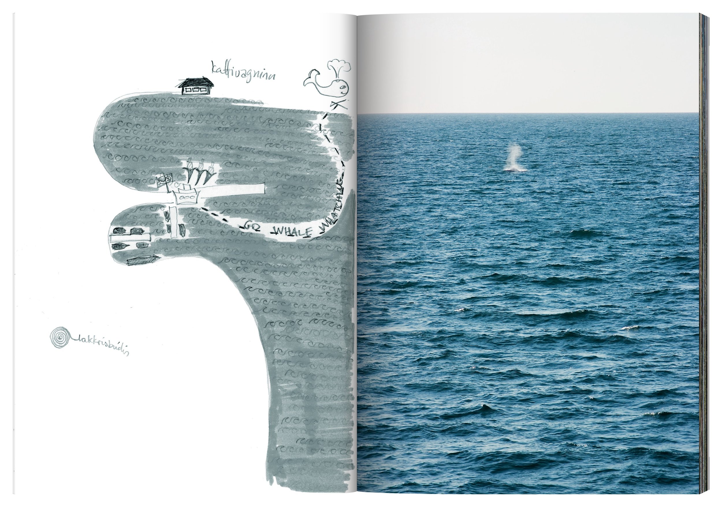 REYKJAVIK_book-Ami-Sioux_spread_14.jpg