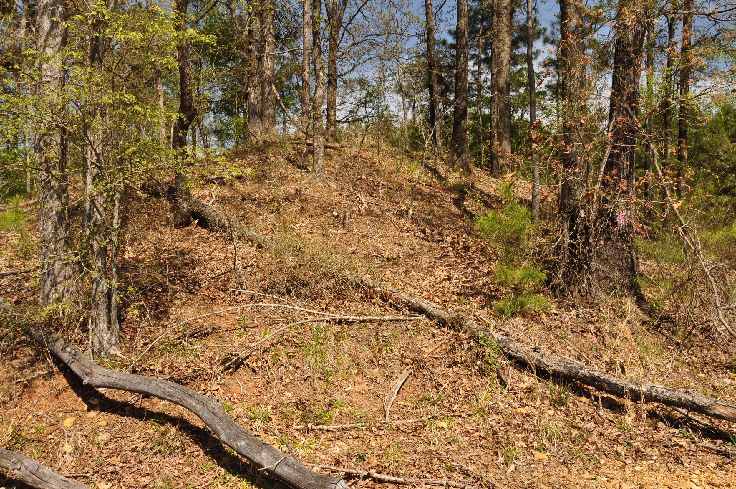 Hempstead County, AR — Trammel's Trace