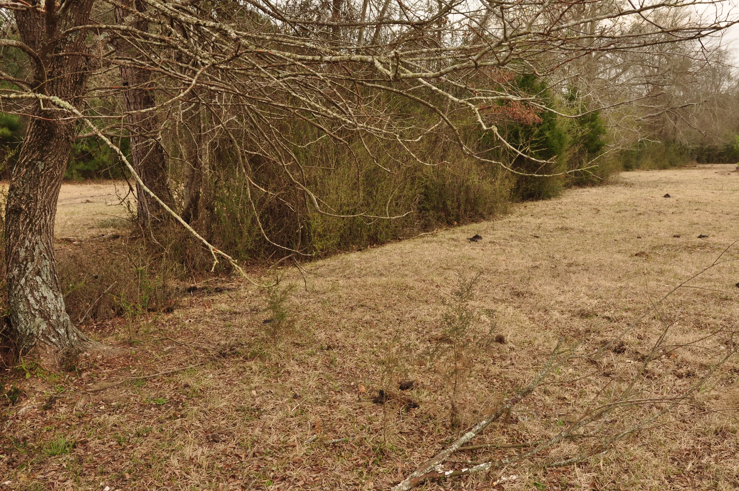Rusk County, TX — Trammel's Trace