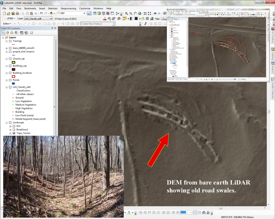 LIDAR image from Jeff Williams, SFASU