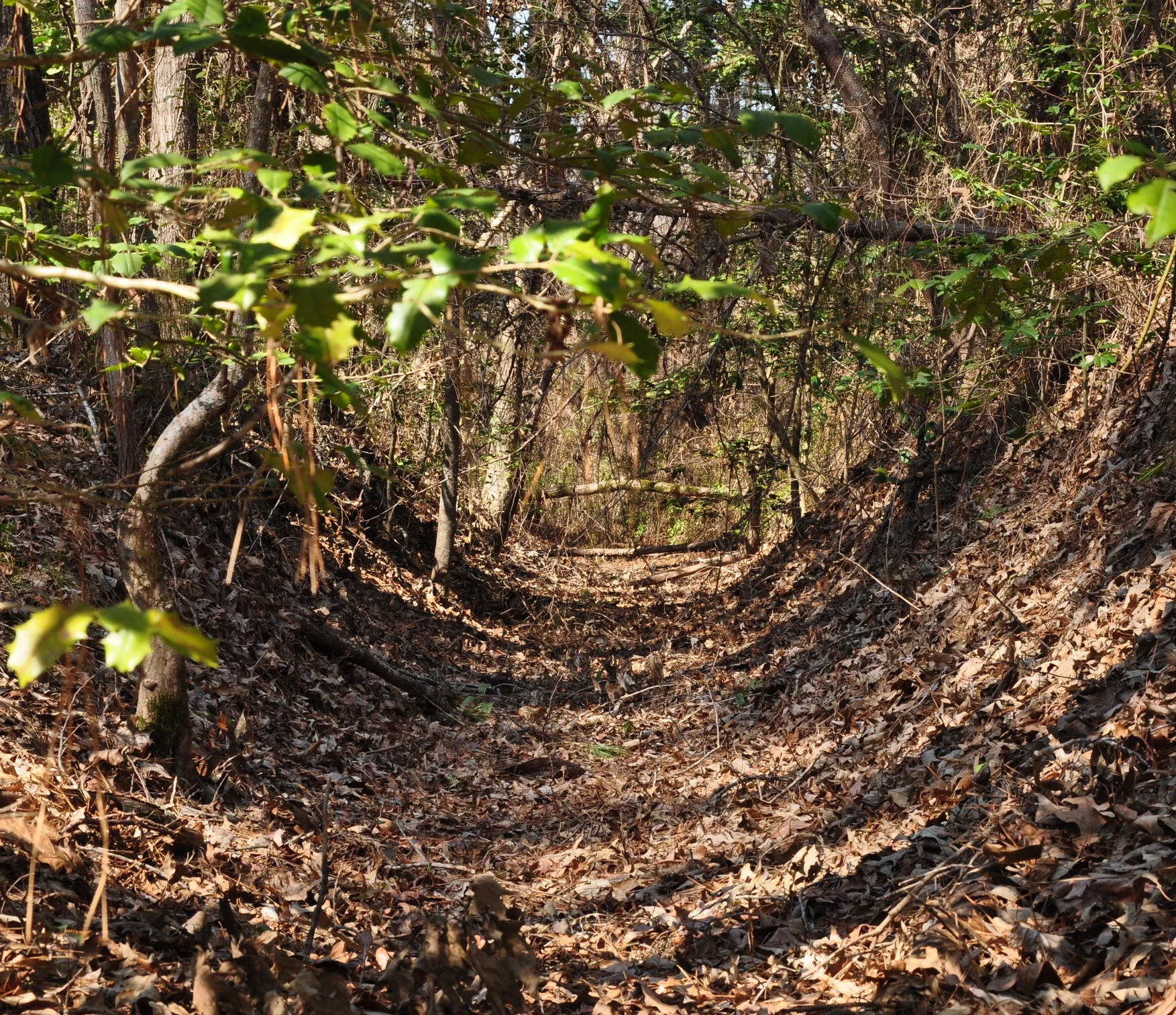 Figure 0.1 - Ruts in Cass County.jpg