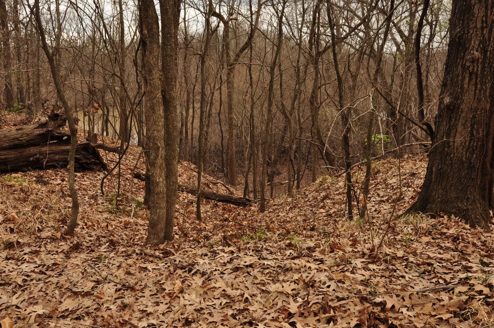 Trace at Epperson's Ferry.jpg