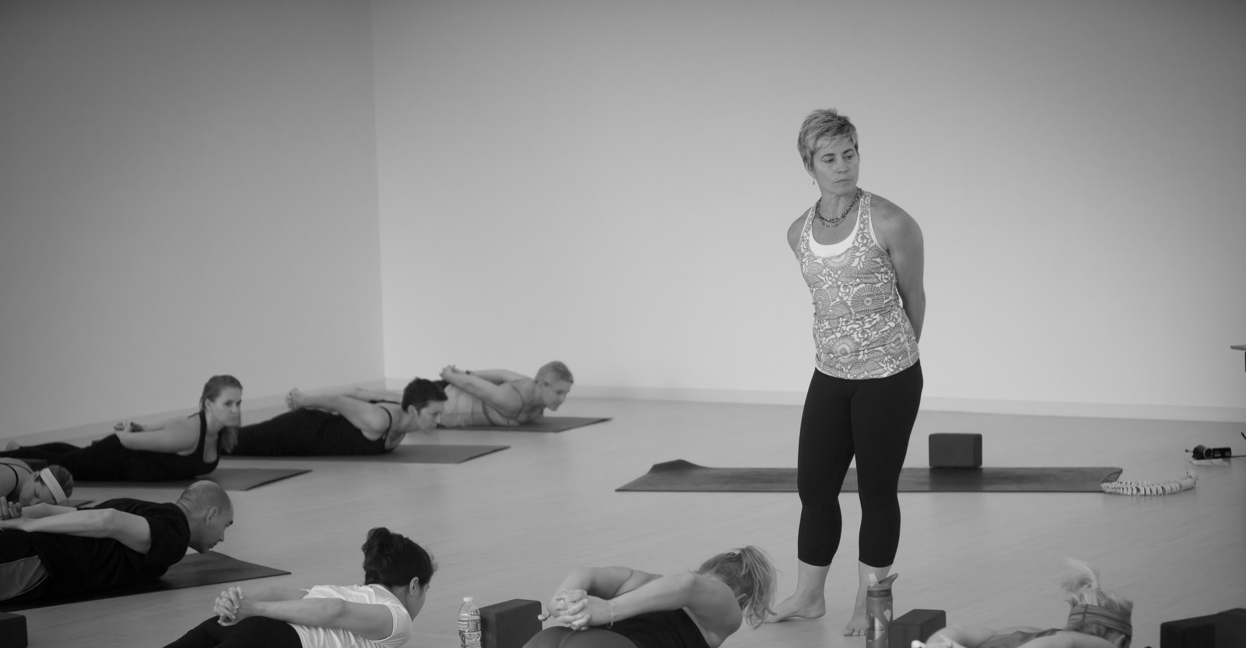 Vinyasa Casa Yoga