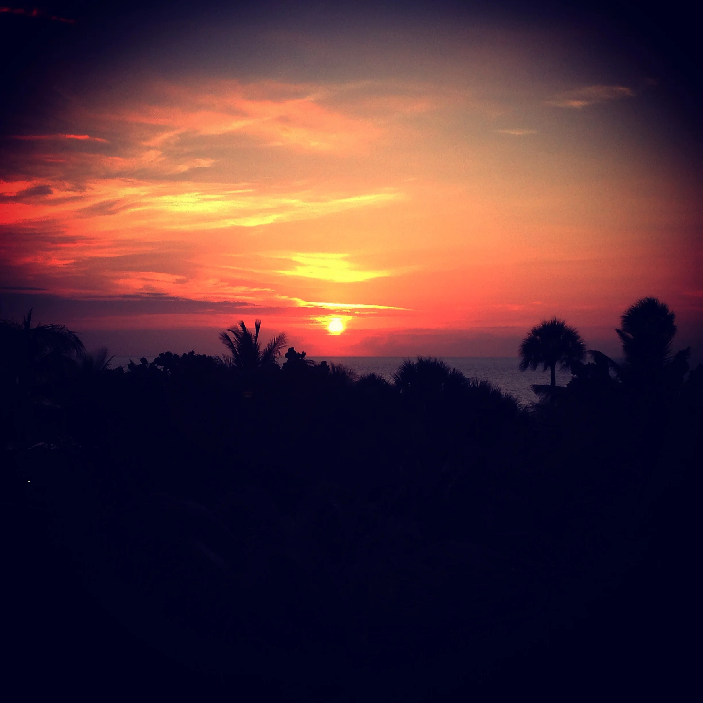 2015-04-19 07.01.51-1.jpg