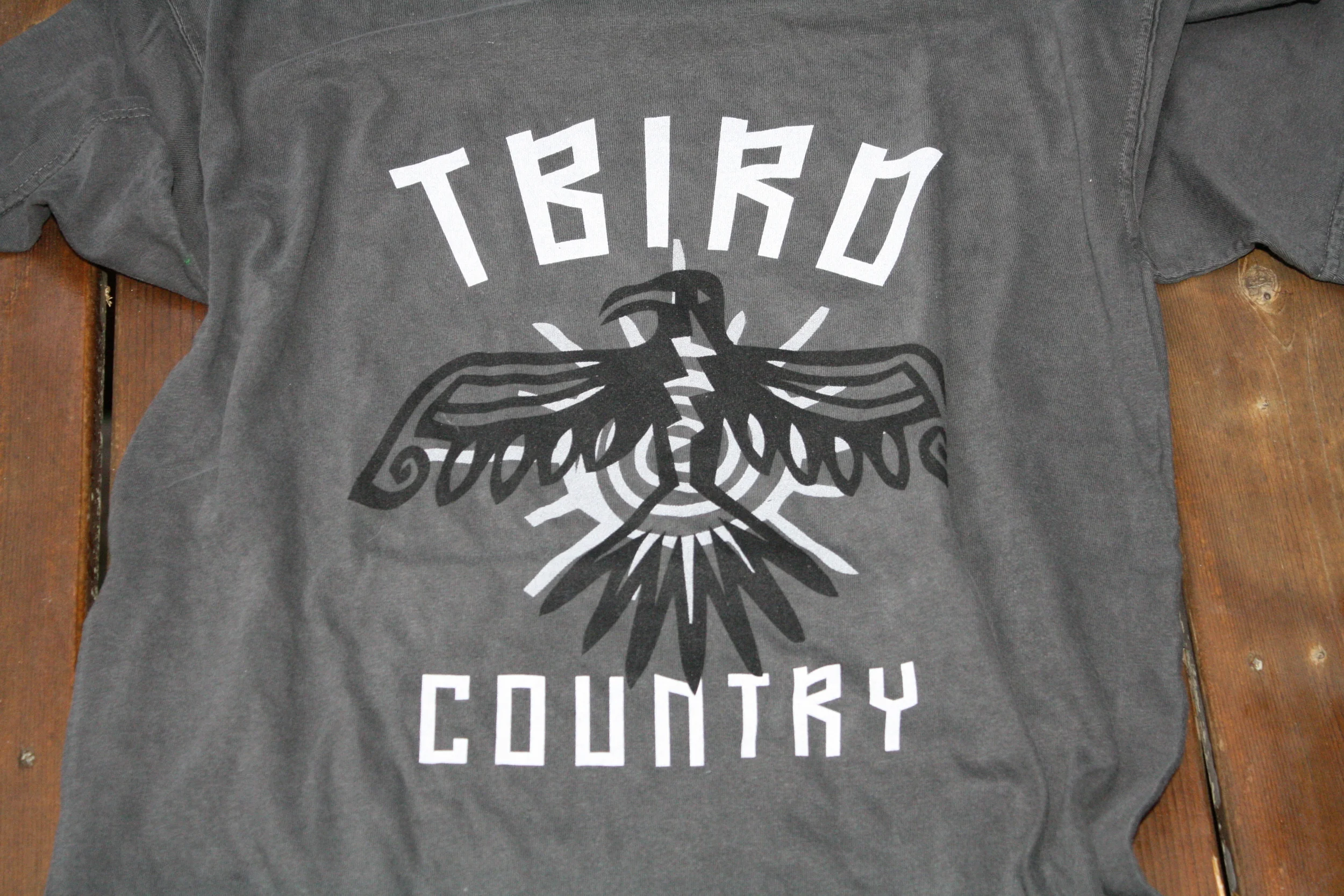 Lakeland High School Student Services T-shirt Design