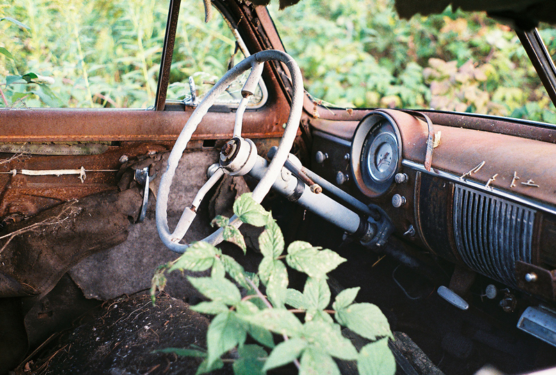 plantcar.jpg
