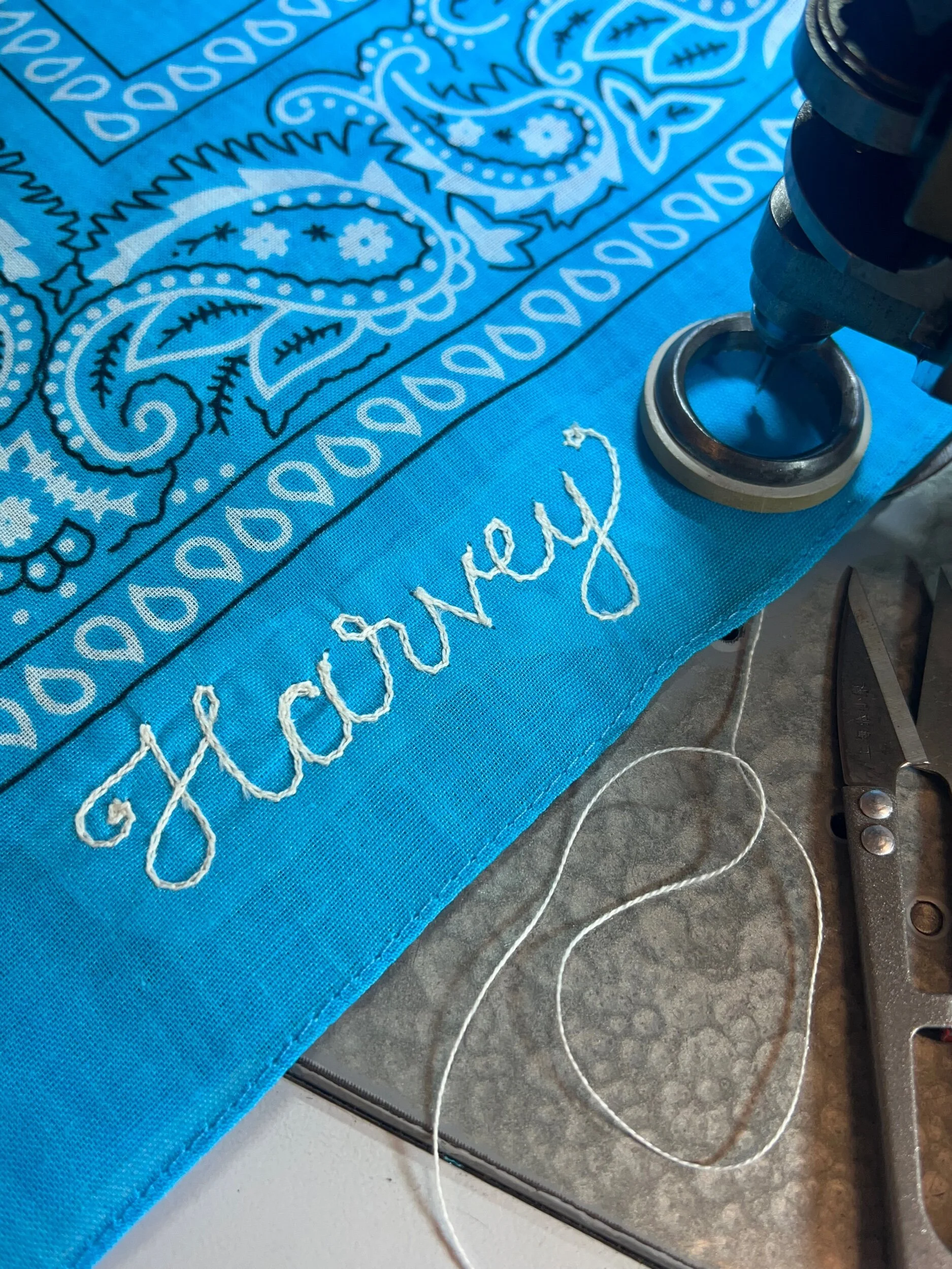 28D815E2-EF34-44DF-B543-B95BB7AF48D9