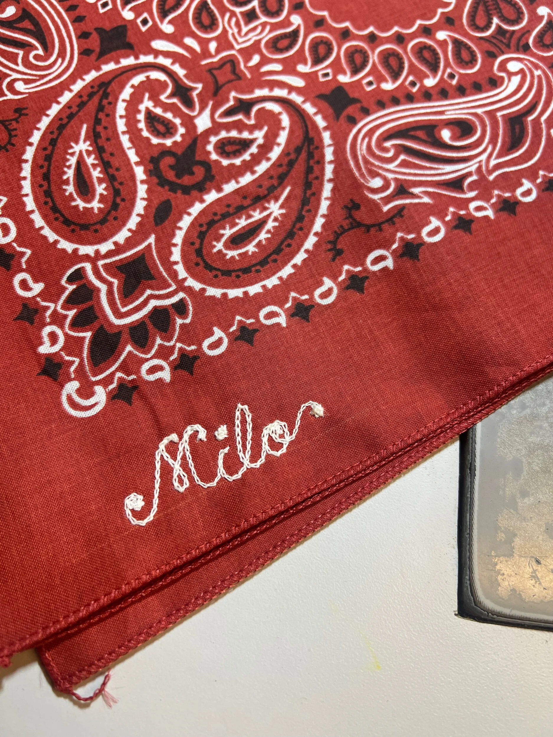 3D306D6B-8F39-4930-9D54-9B7712C7DDE4