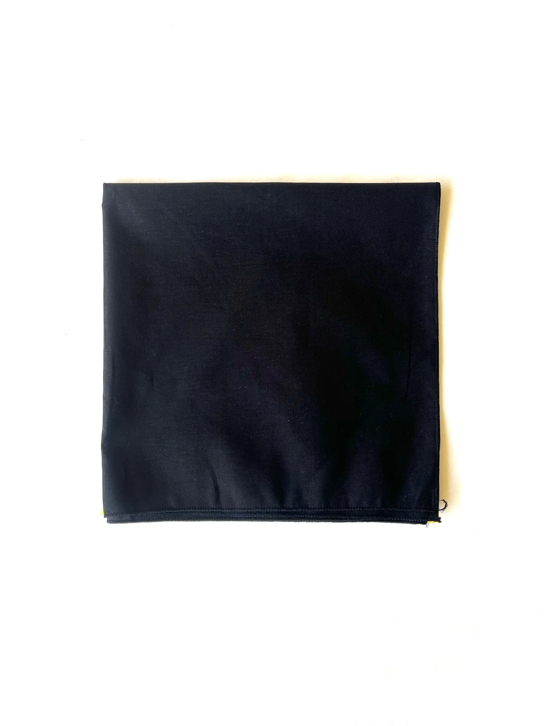 919CCDD2-04F6-499C-B1C2-EF34074C605F