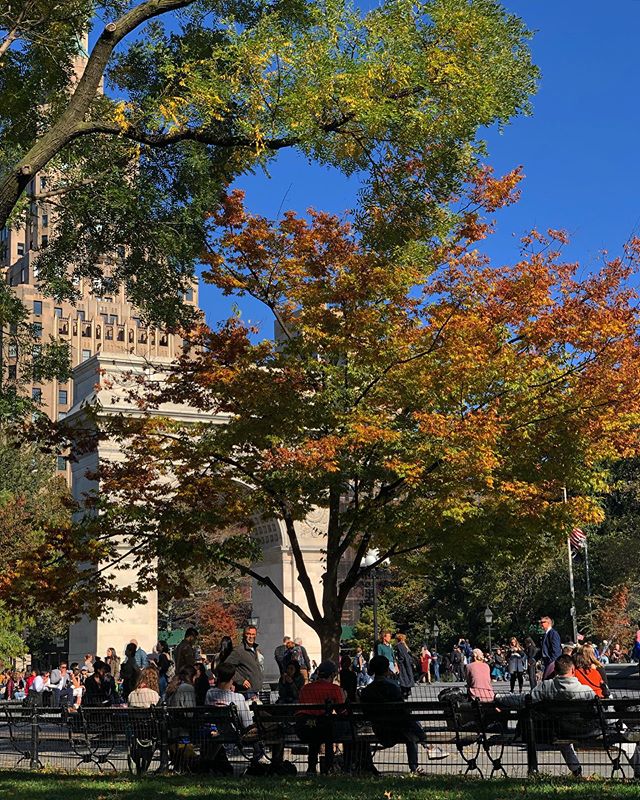 Work views 🍂 &mdash;-
#washingtonsquarepark #newyork #autumn #nyc #shotoniphone