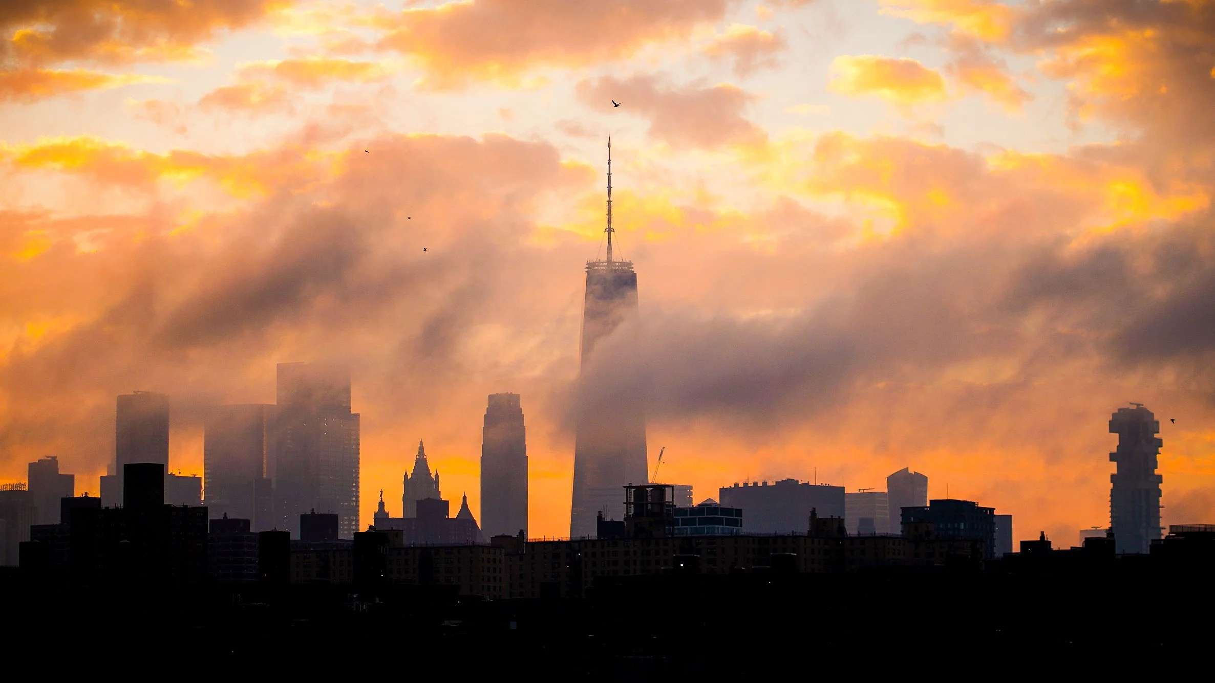 NYC201212_2.jpg