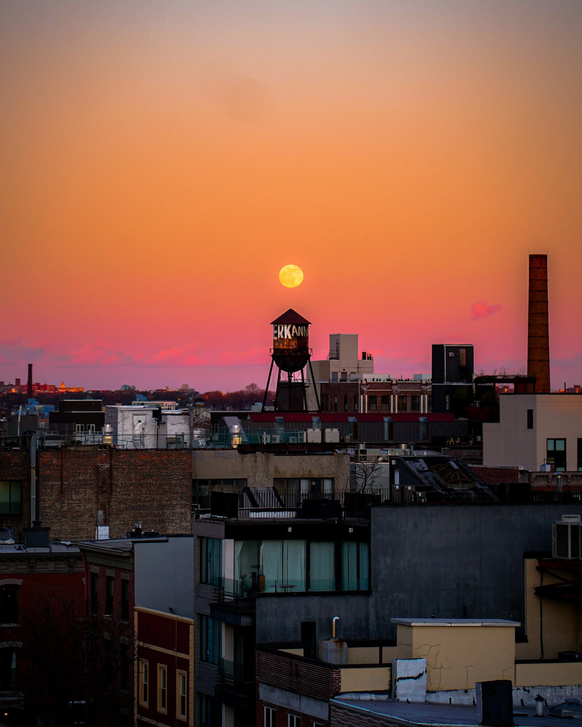 NYC201229.jpg