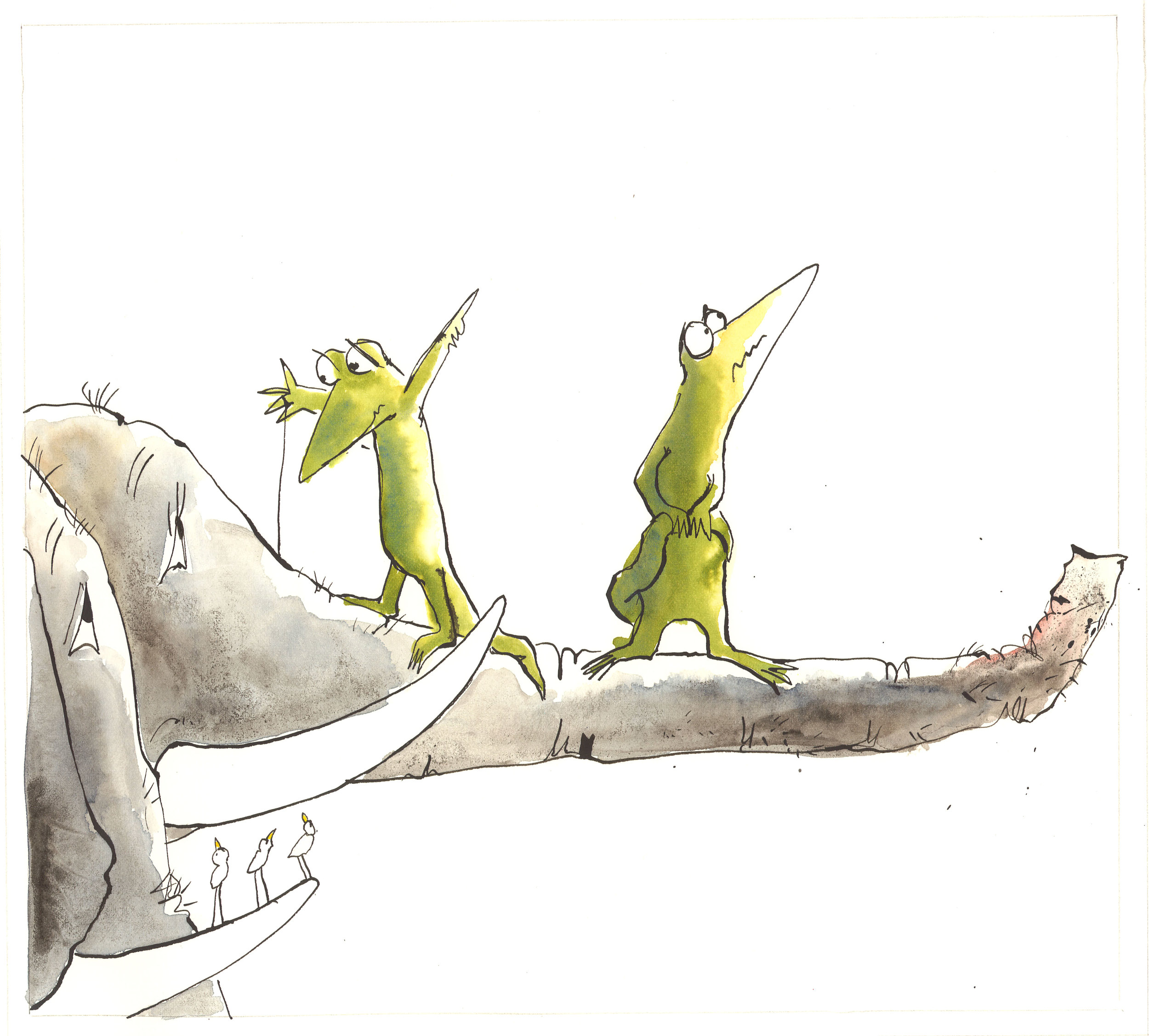 Crocs-on-Elephant-Trunk.jpg