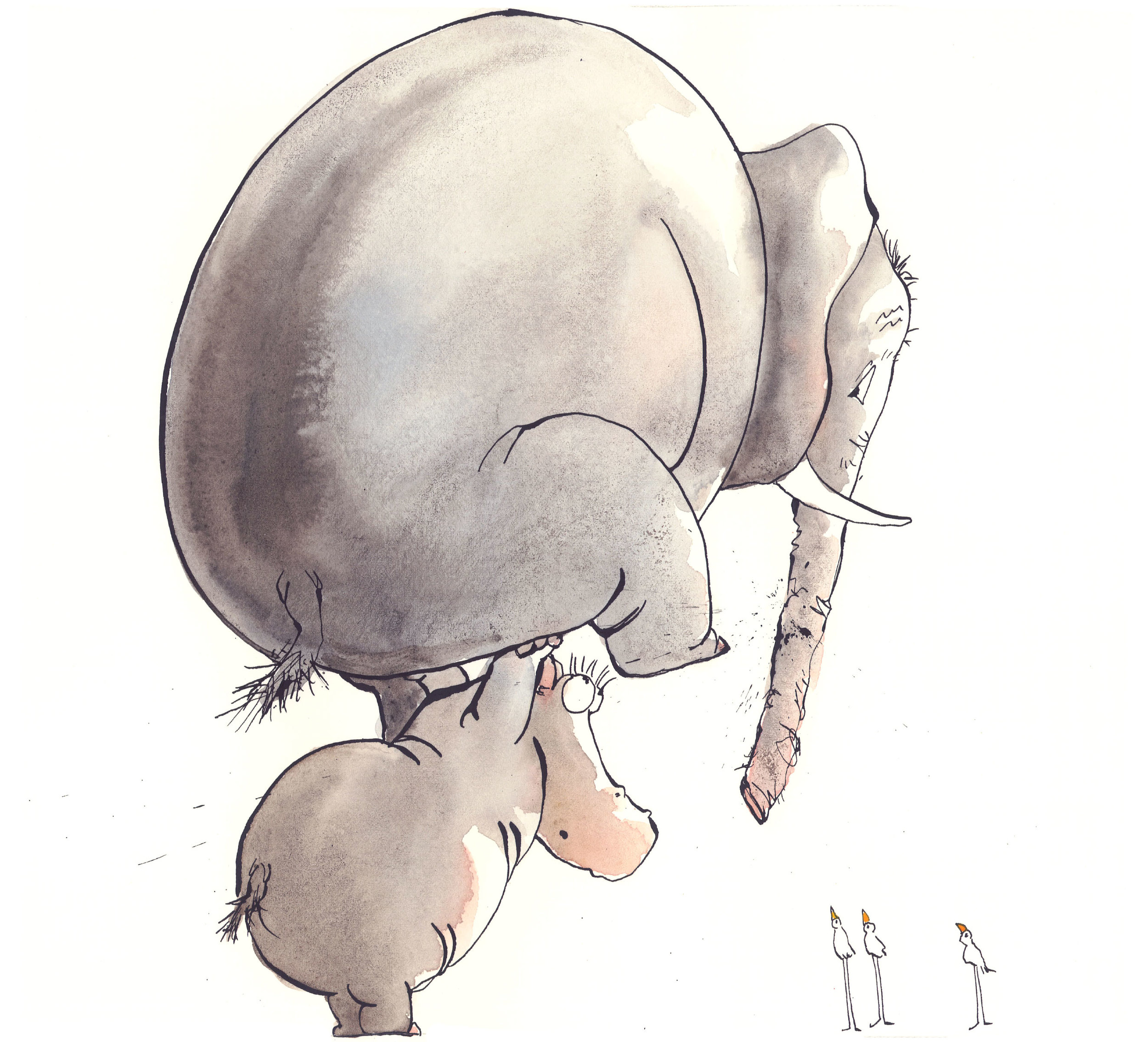 Elephant-on-Hippo.jpg