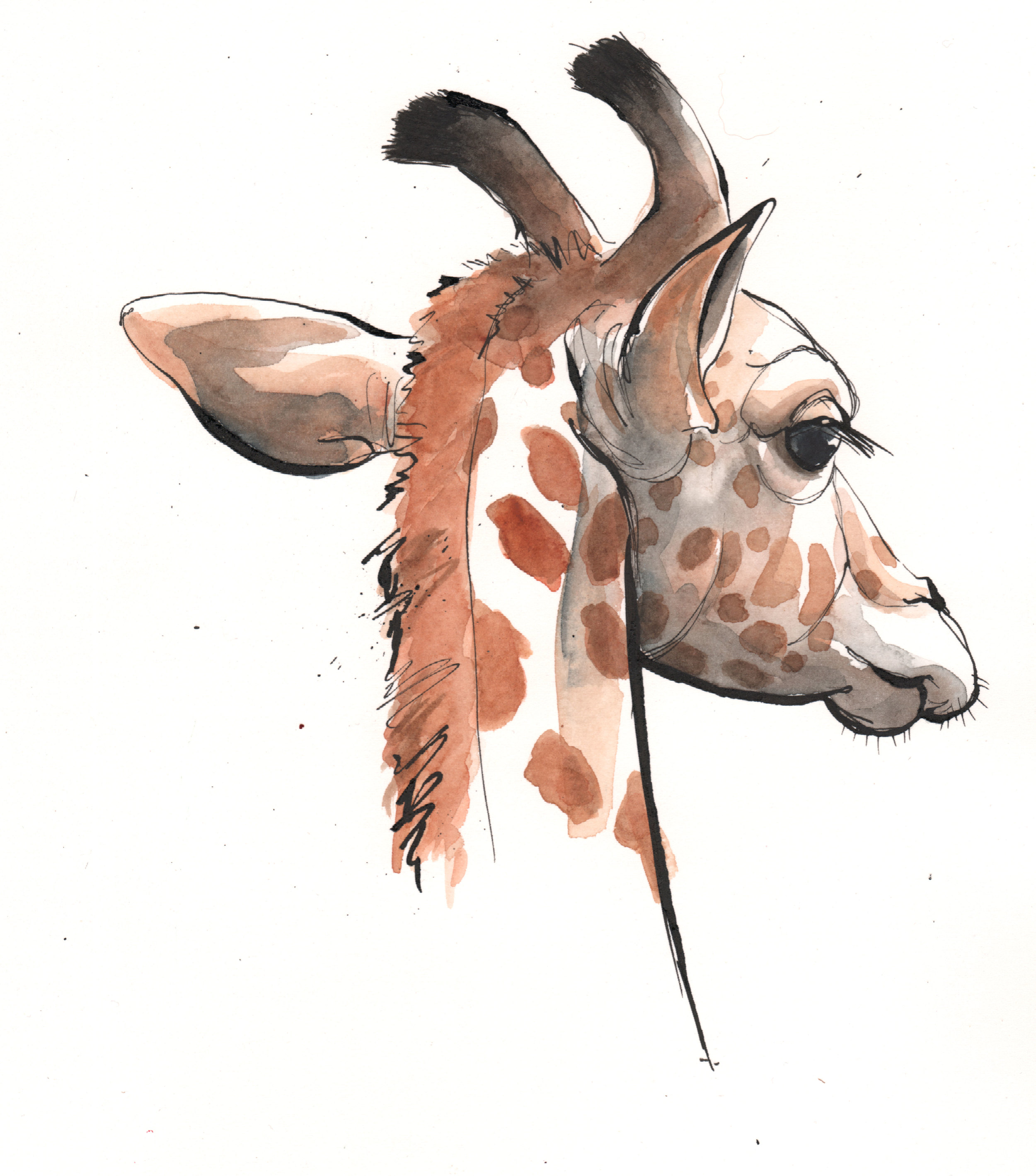Giraffe-for-website.jpg