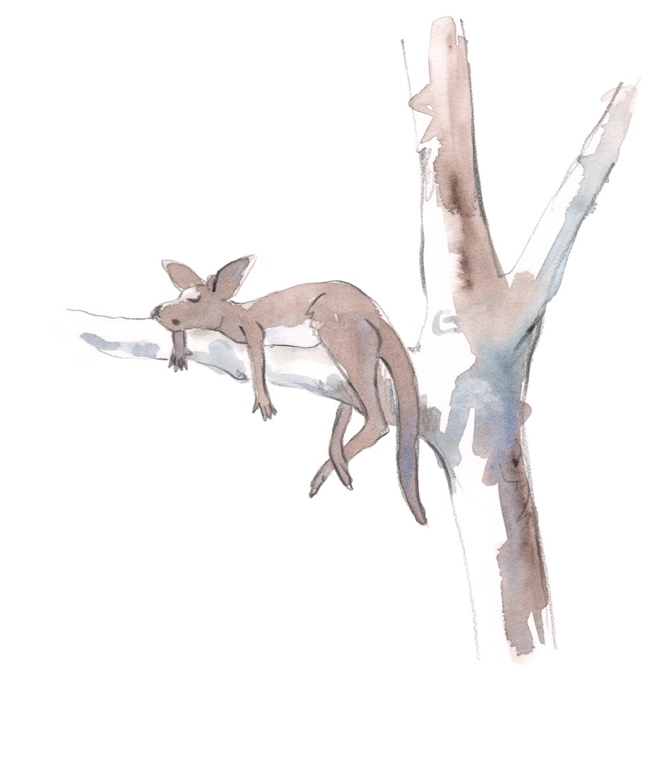 sleep like a sloth april 20.jpeg