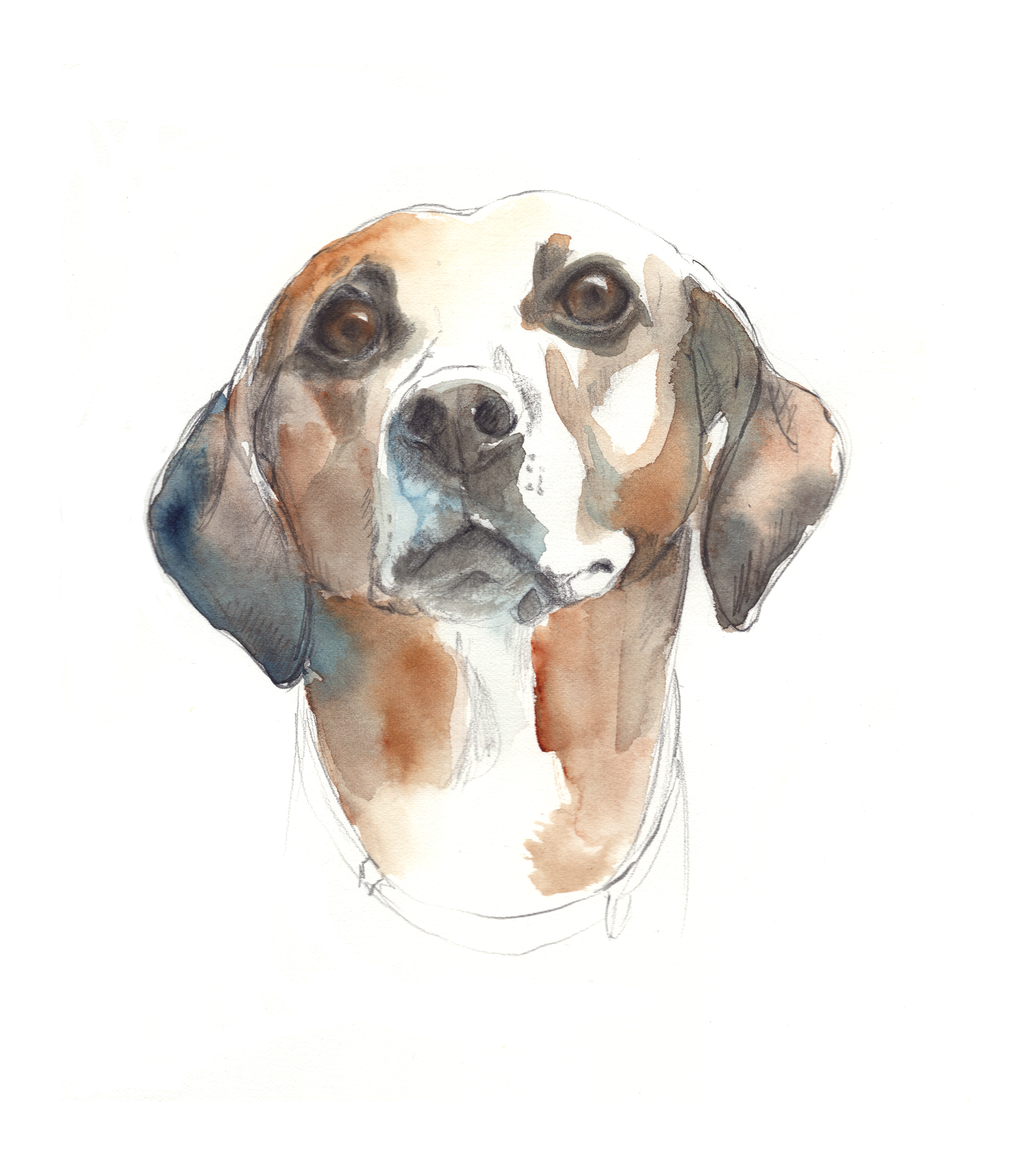 haley's dog2017 for website.jpg