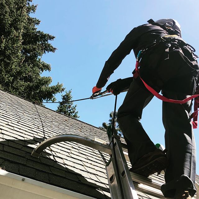 We are doing a little roof cleaning today. Most roofs we can clean from the ground or from the gutter edge using a ladder, but today’s house has architectural elements that require us to treat some areas from the roof. For safety while working, Ryan has an ascender for a little mechanical advantage while climbing the roof and a prusik for backup fall protection.