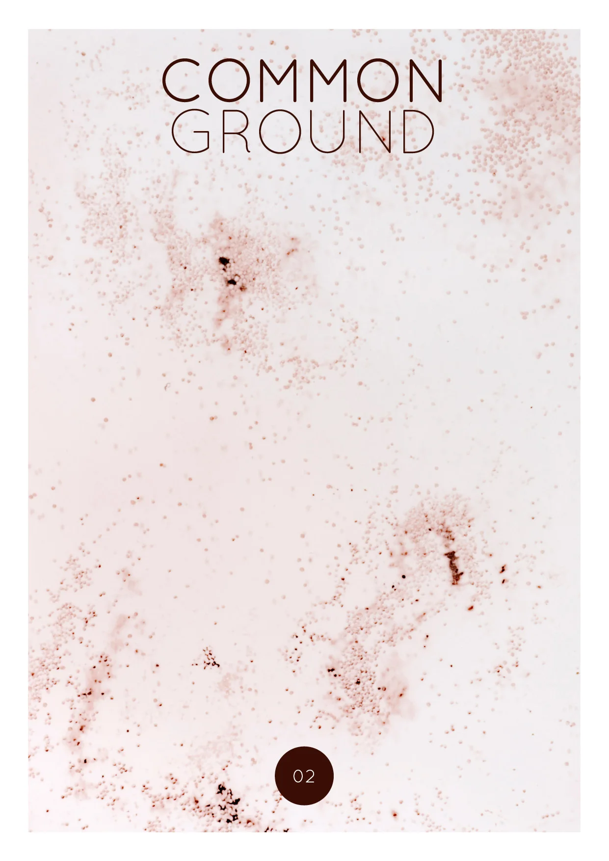 CommonGround_Issue2.jpg