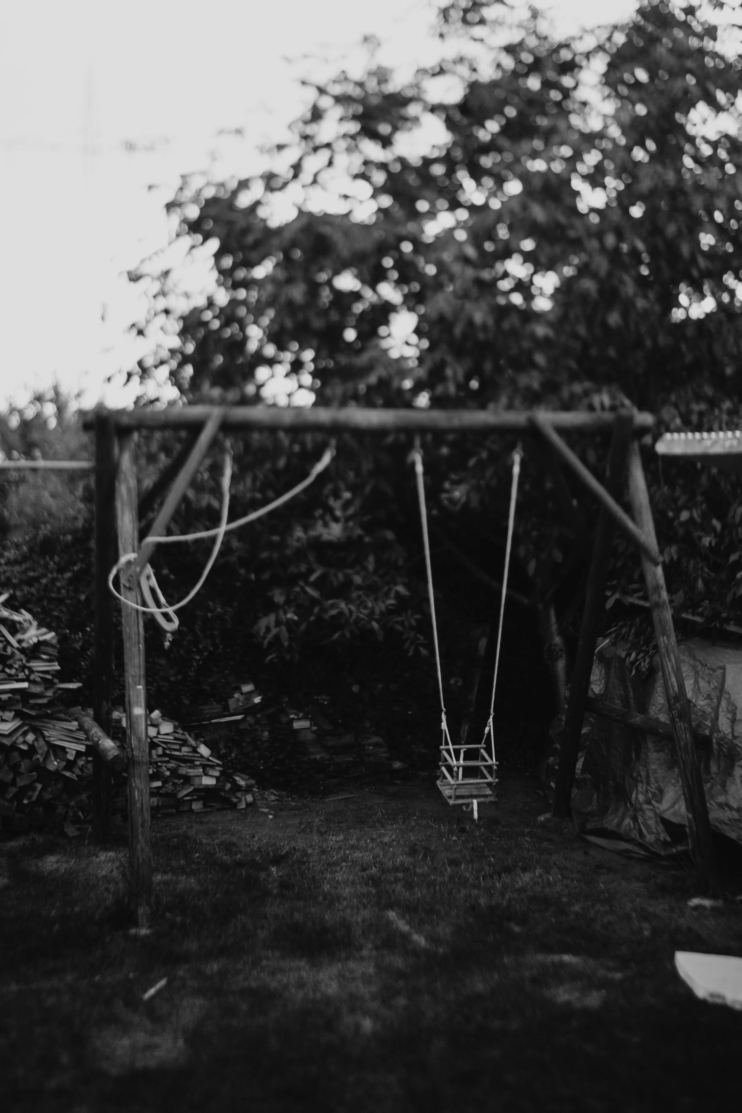 unnamed-6.jpg