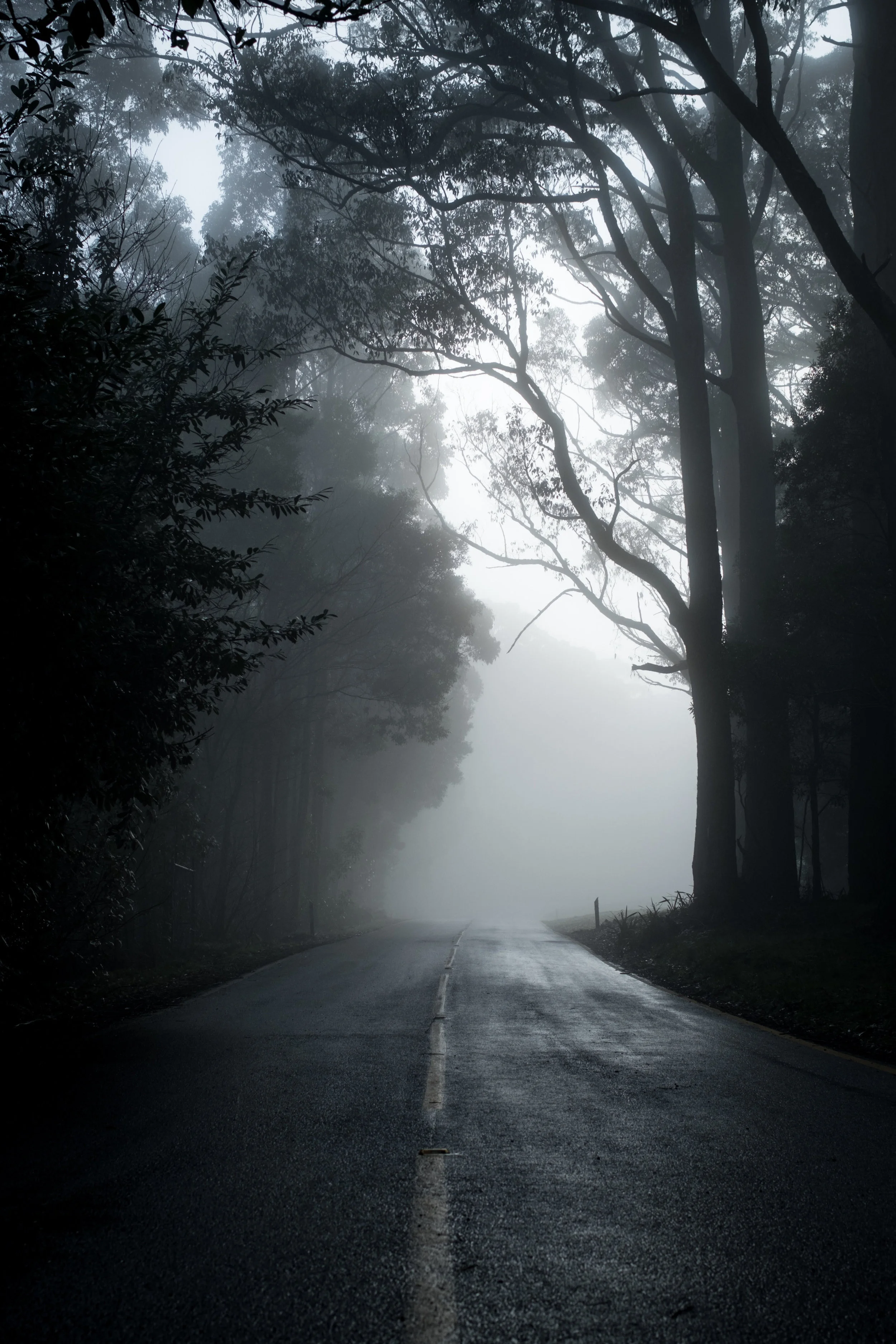 unnamed-3.jpg