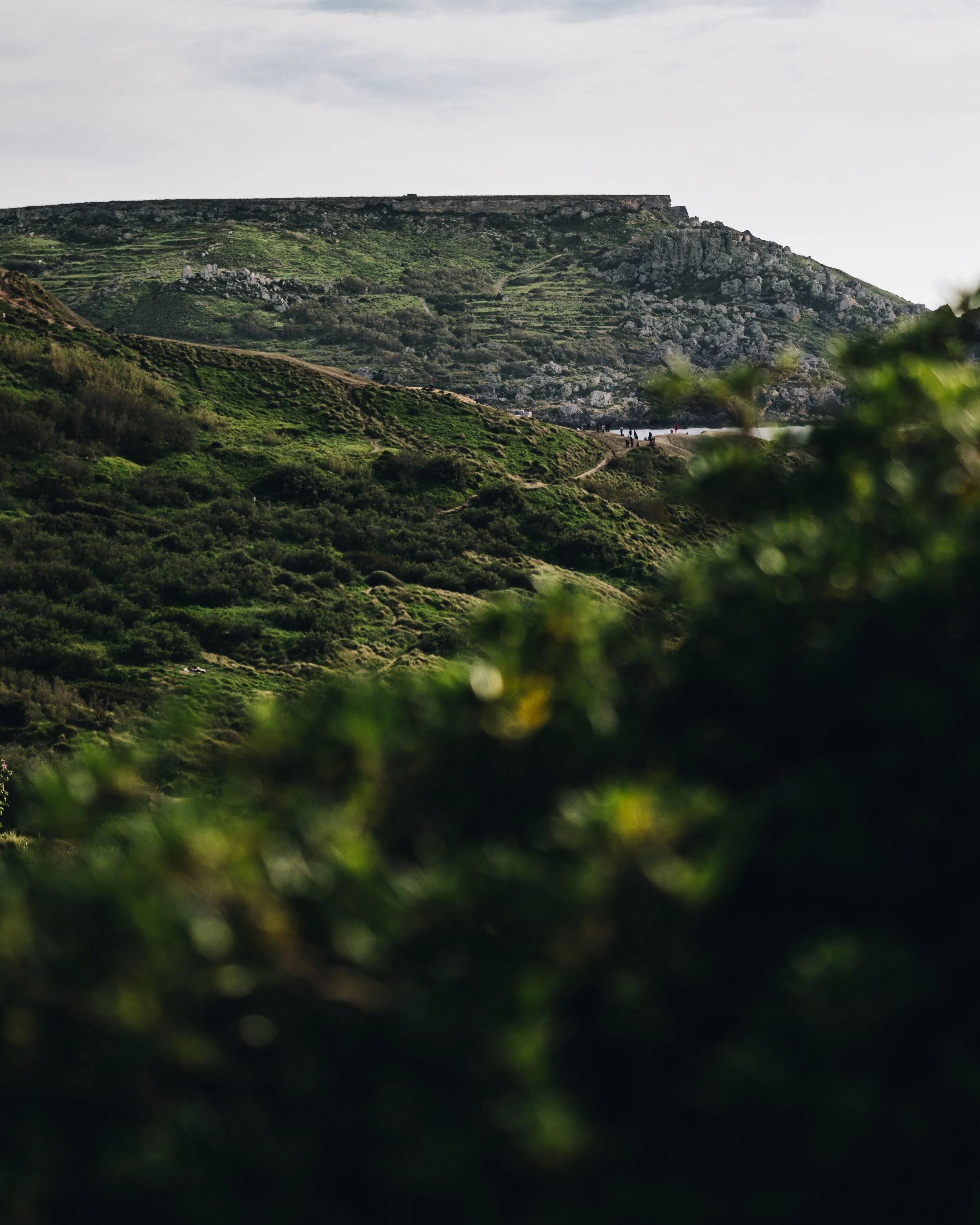 lisse-wets-1480536-unsplash.jpg