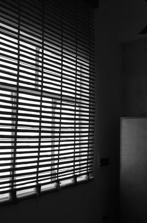 Product/ Element Design- Window Blinds