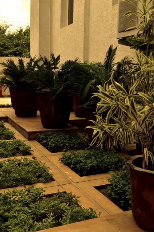 Landscape Design- Planters