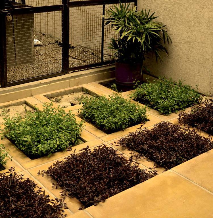 Landscape Design- Planters