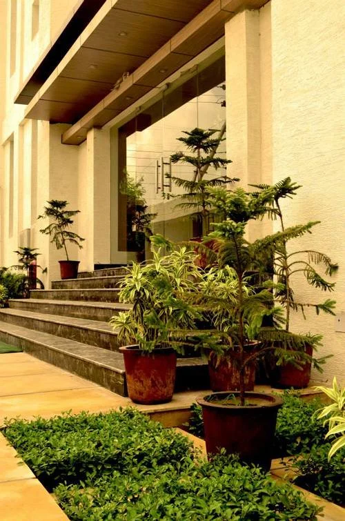 Landscape Design- Entrance Canopy