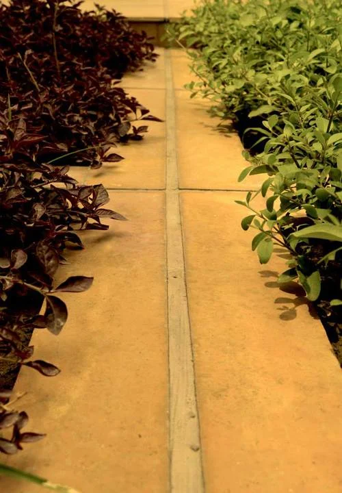 Landscape Design- Planters