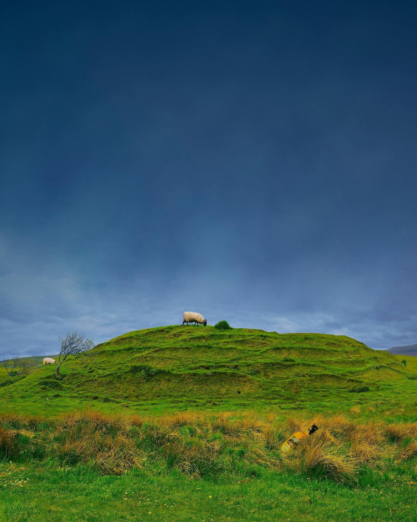 &laquo;&nbsp;Hidden spirit&nbsp;&raquo;, a real fake memory from Scotland ! Montage of several images shot in Scotland back in 2016, and a hidden lost whisky gem that I had the chance to taste a year ago... sometimes the best memories deserve a littl