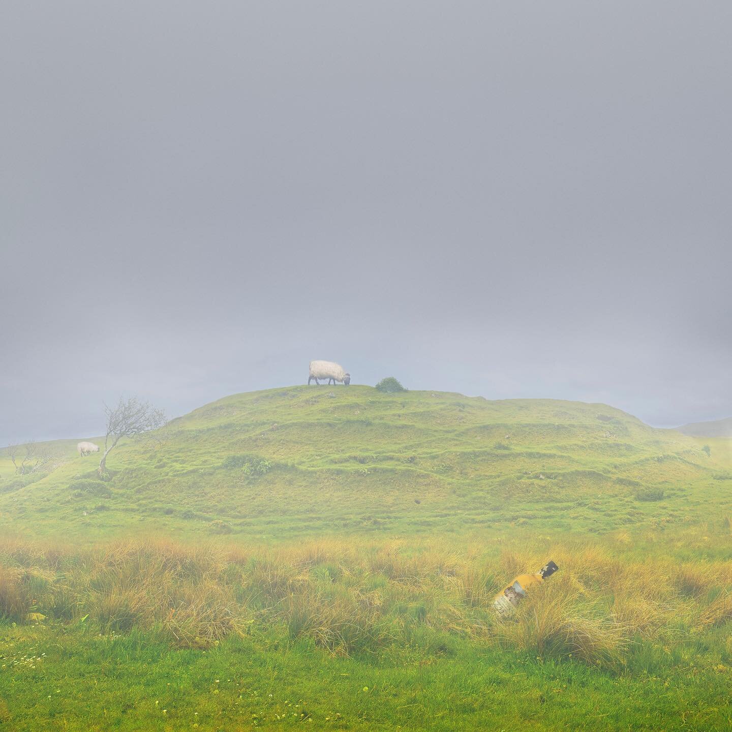 Three shades of Scotland, digital editing and montage of several shots from the highlands taken back in 2016... #sheep #scotlandhighlands #landscapephotography #landscapelovers #digitalphotography #digitalediting #mist #iglandscape #stormyweather #fi