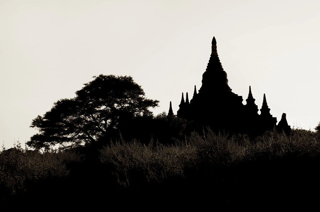 The Long Grass