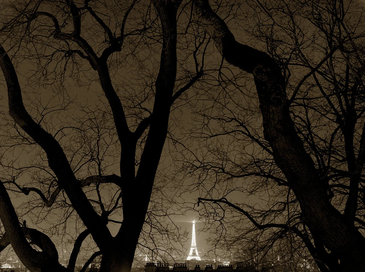 Eiffel Tower 5