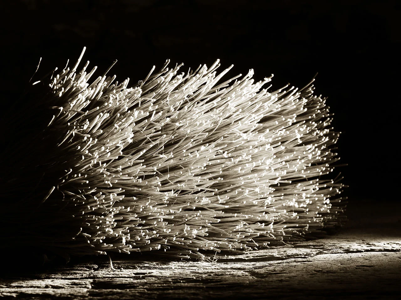 Stiff Broom