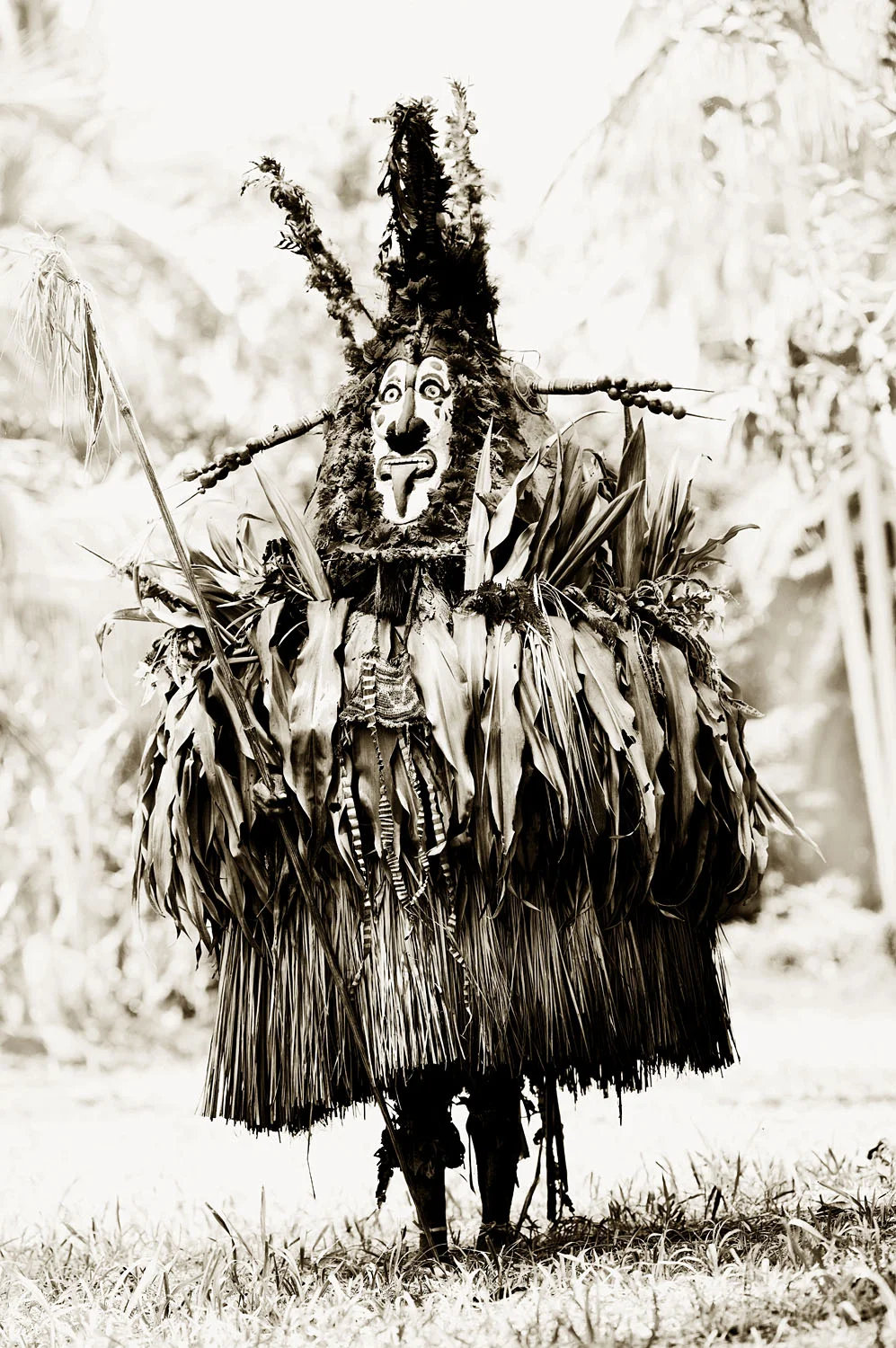 Tumbuan