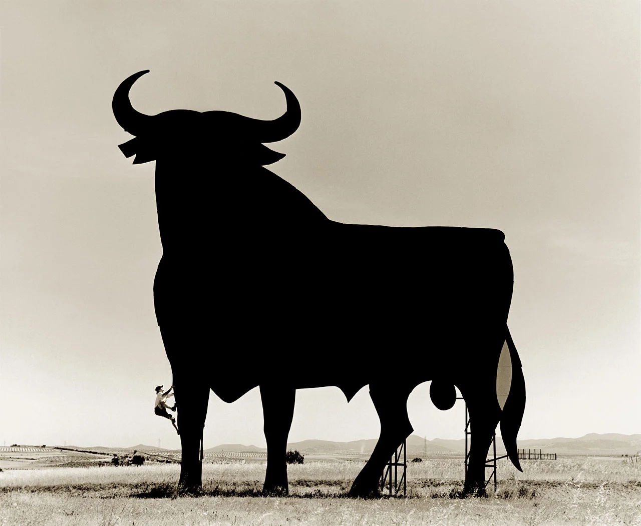 La Mancha Bull