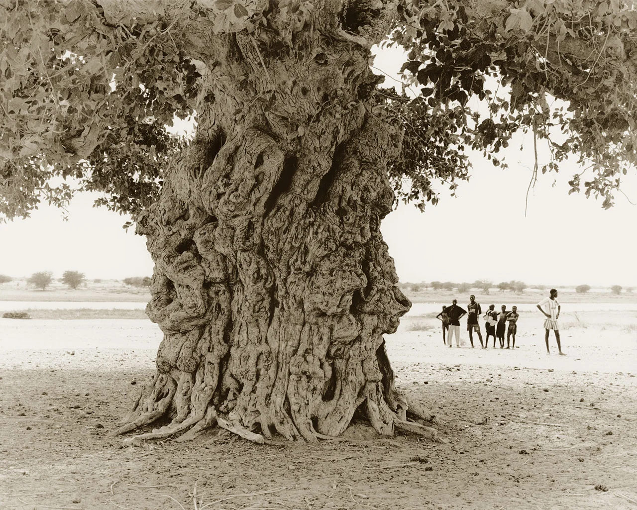 Fat Tree