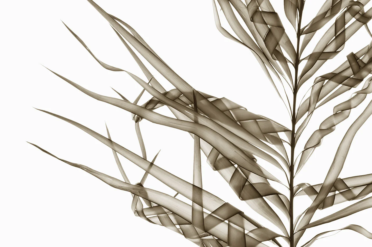 Spikes