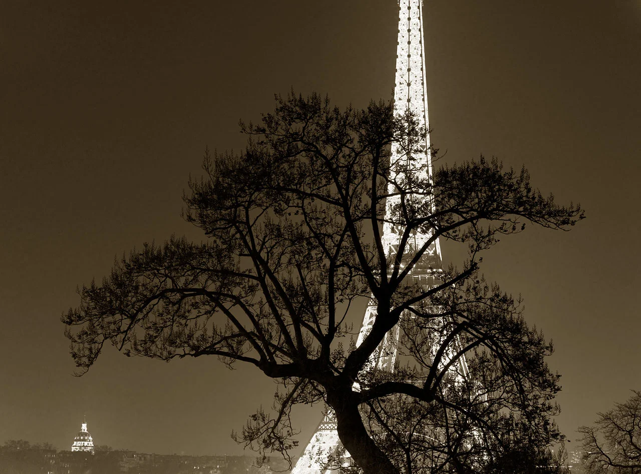 Eiffel Tower 4
