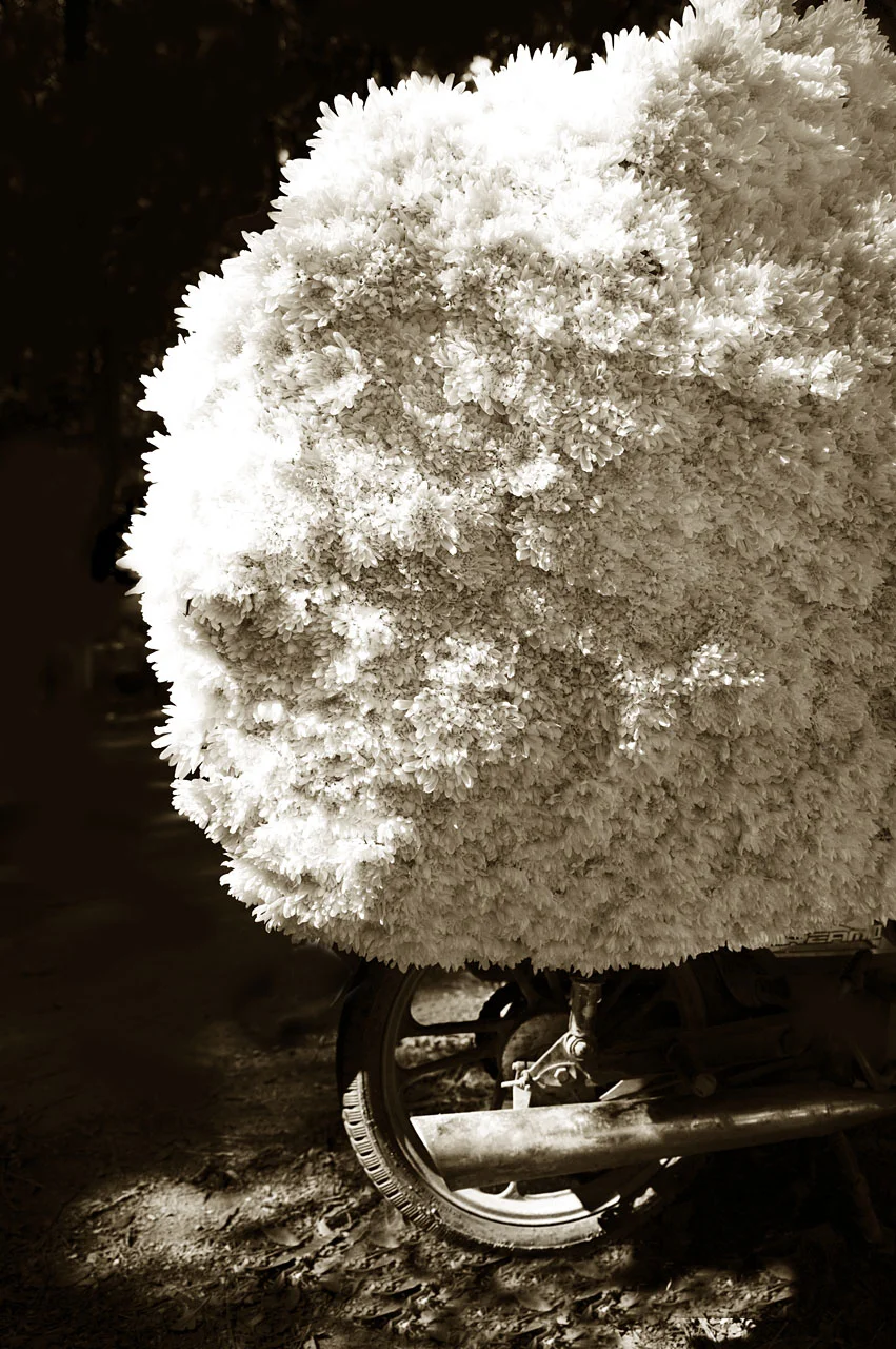 Flower Market